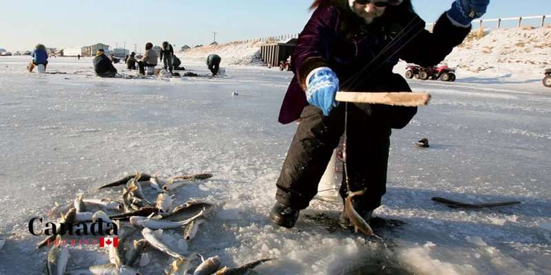 Learn about ice fishing evolution gaming